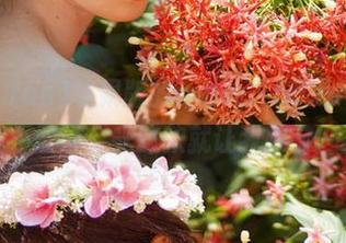 苹果版的www.155.fun，别的我不敢说，光这款就让我眼前一亮！