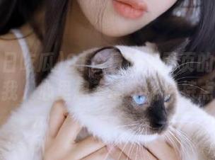 91今日吃瓜网页的内容疯狂吸引我，心里想着能不能保持点节操？