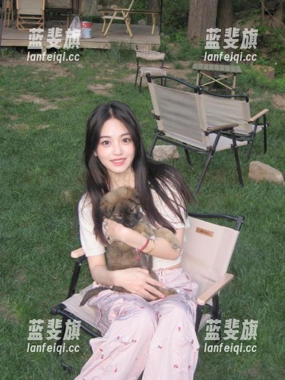 cg91 免费的cg91.com,你的钱包和心理有福了——但到底值不值呢?