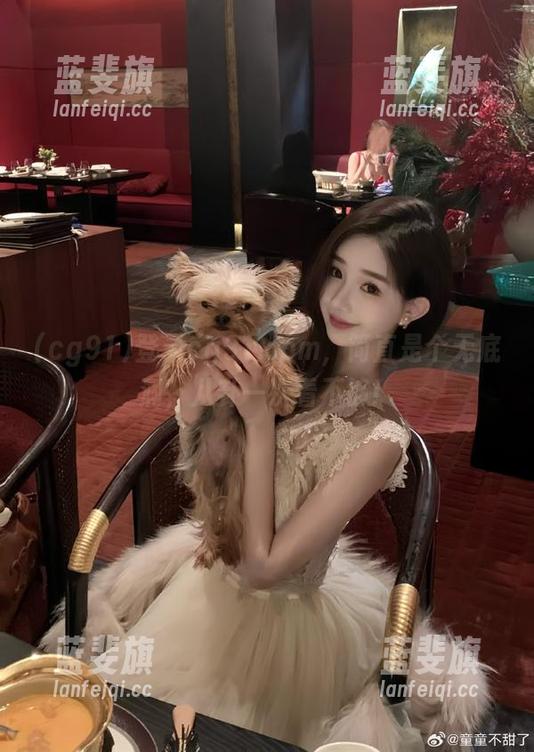 登录cg91.com，简直是个无底洞，八卦一次看不够！