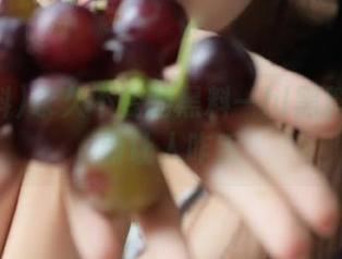 永久不变的黑料—hl黑料官网更新让人咋舌