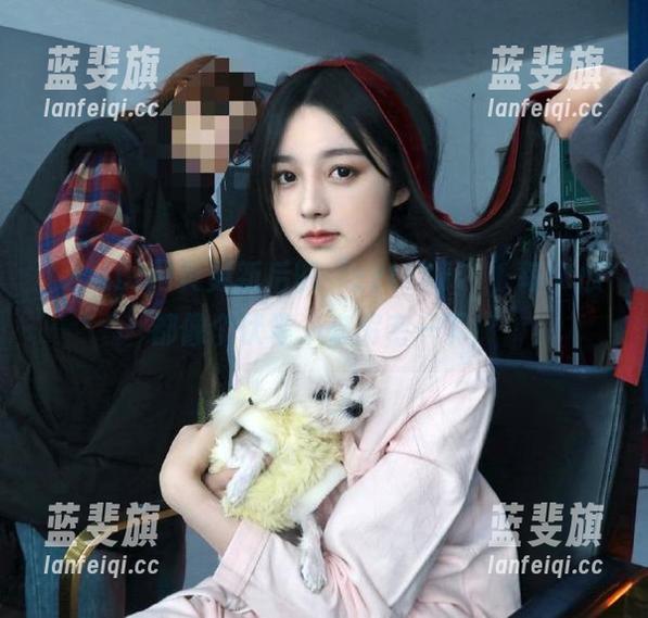 zztt 网页更新后的“zztt11”,每个瓜都像个伏笔,来解密一下!