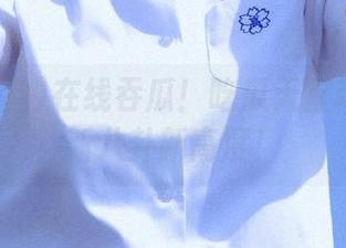 在线吞瓜！吃瓜天堂苹果版刷新八卦新高度！