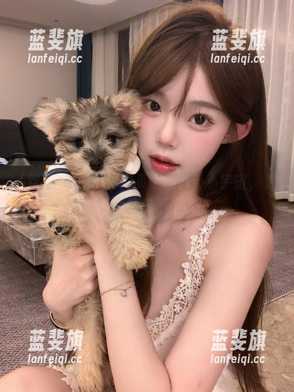 吃瓜网 吃瓜网网页上的八卦小宇宙,更新得我快追不上了…