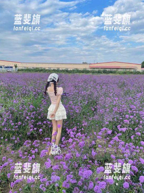 今日166fun热点黑料app新更新，感觉肩膀上压了重重一块大石头，让我无从释怀！
