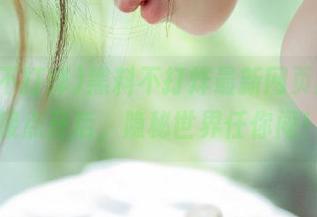 黑料不打烊最新网页版，链接点开后，隐秘世界任你闯！