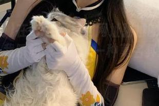 在zztt黑料网网址强推的蘑菇视频里，我瞬间感受到了一种莫名其妙的羡慕。